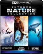 Extreme Nature Collection (4K Ultra HD): Antarctica On The Edge / Titans Of The Ice Age / Great White Shark