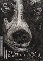 Heart Of A Dog: Criterion Collection