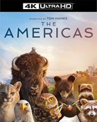 クリックで拡大