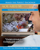 クリックで拡大