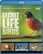 Secret Life Of Birds (Blu-ray)