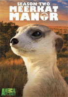 Meerkat Manor: Season 2