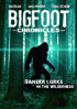 Bigfoot Chronicles