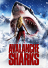 Avalanche Sharks