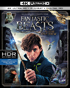 Fantastic Beasts And Where To Find Them (4K Ultra HD/Blu-ray)