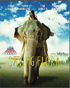 Saving Flora (Blu-ray)