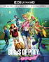 Birds Of Prey (And The Fantabulous Emancipation Of One Harley Quinn) (4K Ultra HD/Blu-ray)