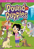 Pound Puppies: A Perfect Match