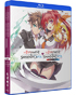 Testament Of Sister New Devil: Season 1 / Testament Of Sister New Devil Burst: Season 2 (Blu-ray)