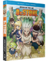 Dr. Stone: Season 1 Part 1 (Blu-ray/DVD)