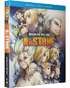 Dr. Stone: Season 1 Part 2 (Blu-ray/DVD)