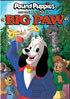 Pound Puppies And The Legend Of Big Paw