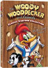 Woody Woodpecker And Friends Classic Cartoon Collection