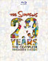Simpsons: 20 Year The Complete Twentieth Season (Blu-ray)