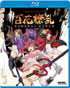 Samurai Girls: Complete Collection (Blu-ray)