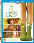 Odd Life Of Timothy Green (Blu-ray/DVD)