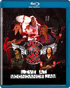 REO Speedwagon: Live At Moondance Jam (Blu-ray)