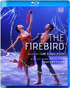 Stravinsky: The Firebird: Greta Hodgkinson / Aleksandar Antonijevic / Rebekah Rimsay (Blu-ray)