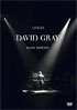 David Gray: Live In Slow Motion