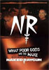 Naked Raygun: What Poor Gods We Do Make: The Story And Music Behind Naked Raygun