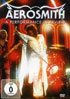 Aerosmith: A Performance In Review