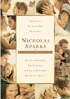 Nicholas Sparks Limited Edition DVD Collection: Safe Haven / The Lucky One / Dear John / Nights In Rodanthe / The Notebook / A Walk To Remember / Message In A Bottle