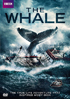 Whale (2013)