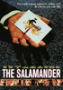 Salamander