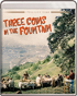 Three Coins In The Fountain: The Limited Edition Series (Blu-ray)