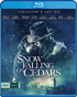 Snow Falling On Cedars: Collector's Edition (Blu-ray)