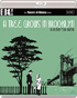 Tree Grows In Brooklyn: The Masters Of Cinema Series (Blu-ray-UK)