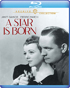 Star is Born: Warner Archive Collection (1937)(Blu-ray)