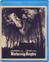 Wuthering Heights (Blu-ray)