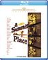 Summer Place: Warner Archive Collection (Blu-ray)