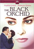 Black Orchid