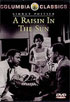 Raisin In The Sun