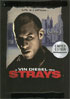 Strays (Steelbook)