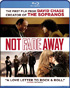 Not Fade Away (Blu-ray)