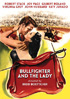 Bullfighter And The Lady