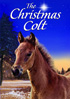 Christmas Colt