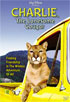 Charlie The Lonesome Cougar (Buena Vista)
