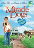 Miracle Dogs