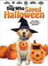 Dog Who Saved Halloween