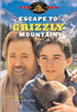 Escape To Grizzly Mountain