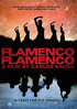 Flamenco, Flamenco