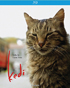 Kedi (Blu-ray)