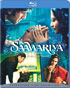 Saawariya (Blu-ray)