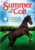 Summer Of The Colt