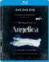 Strange Case Of Angelica (Blu-ray)