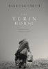 Turin Horse